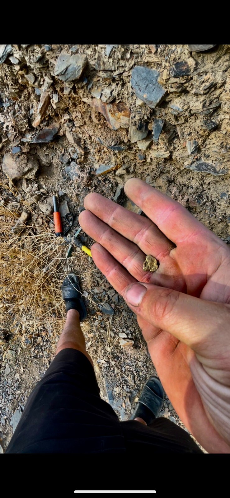 GOLD Paydirt Guaranteed Unsearched Rich with black sand + Added Gold concentrate