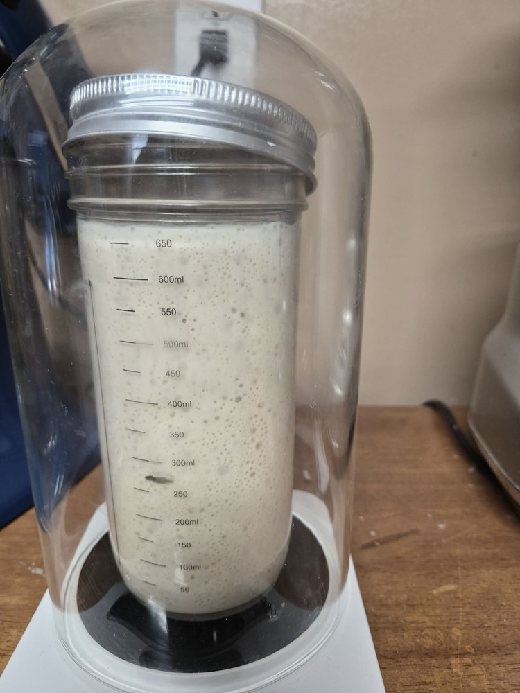 dehydrated sourdough starter