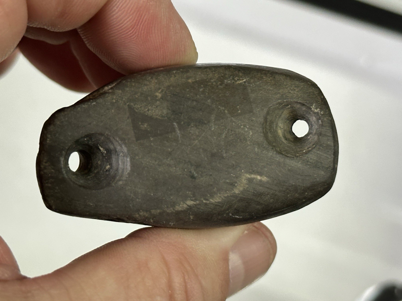 RARE AUTHENTIC BANDED SLATE BIRDSTONE FROM ASHLAND CO. OHIO, MOTLEY COA