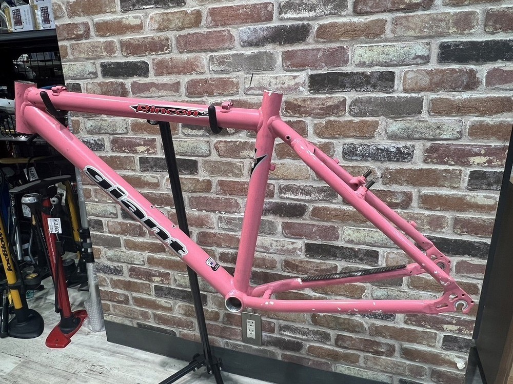 Giant Rincon SE MTB Frame 2000 Model As Is