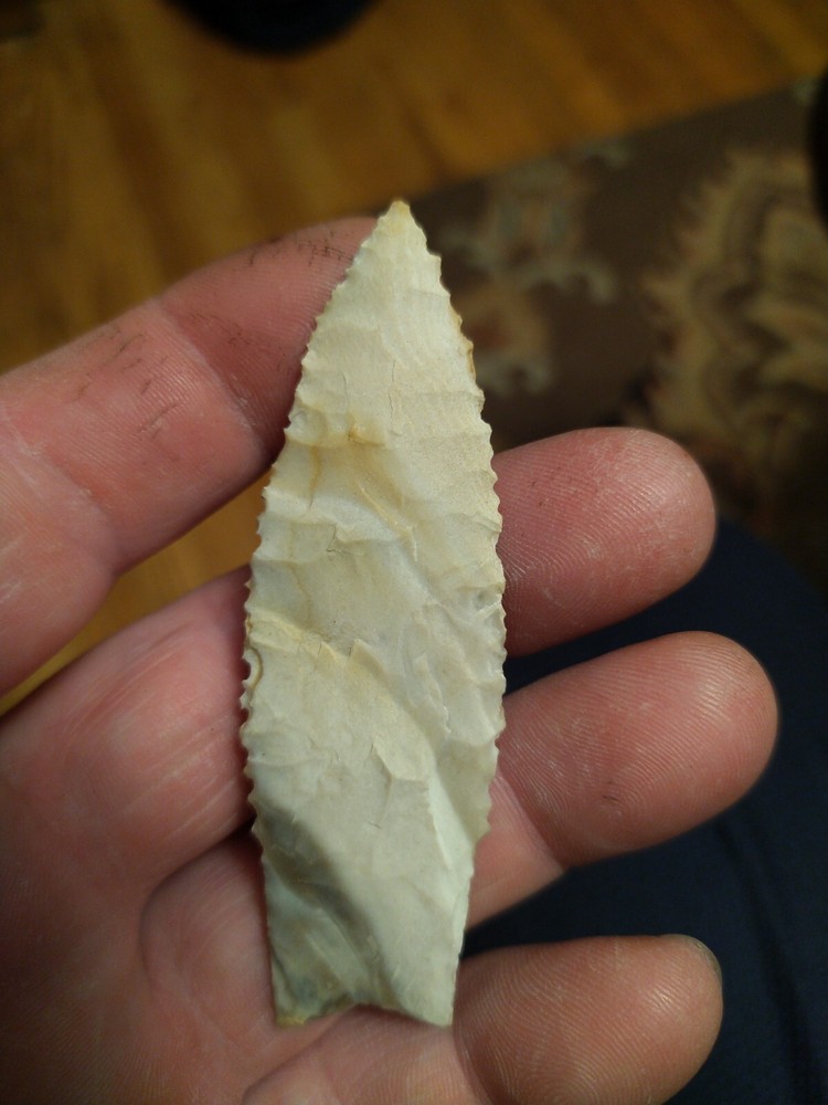 Dalton Ozark Chert fine serations 3 3/16" x 1"