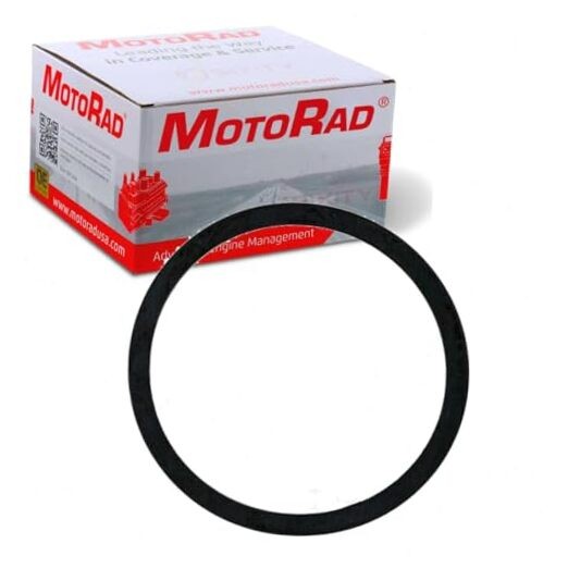 MG81EA Engine Coolant Thermostat Seal
