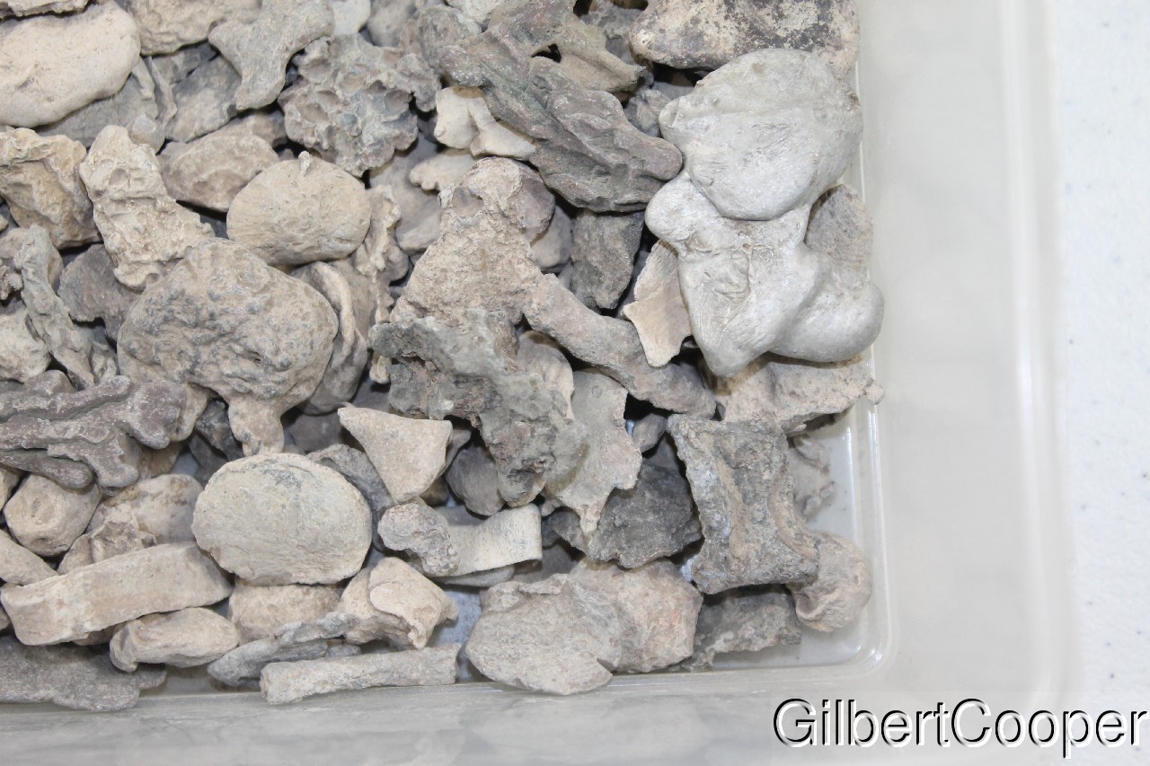 ONEIDA INDIAN LEAD SCRAP - SELLING 1 PIECE AT A TIME