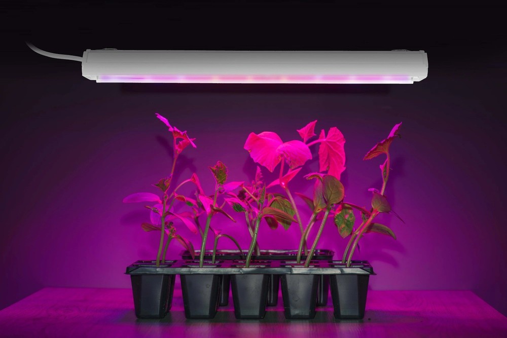 Great Value 2ft Selectable Spectrum LED Grow Light, 20W, Linkable