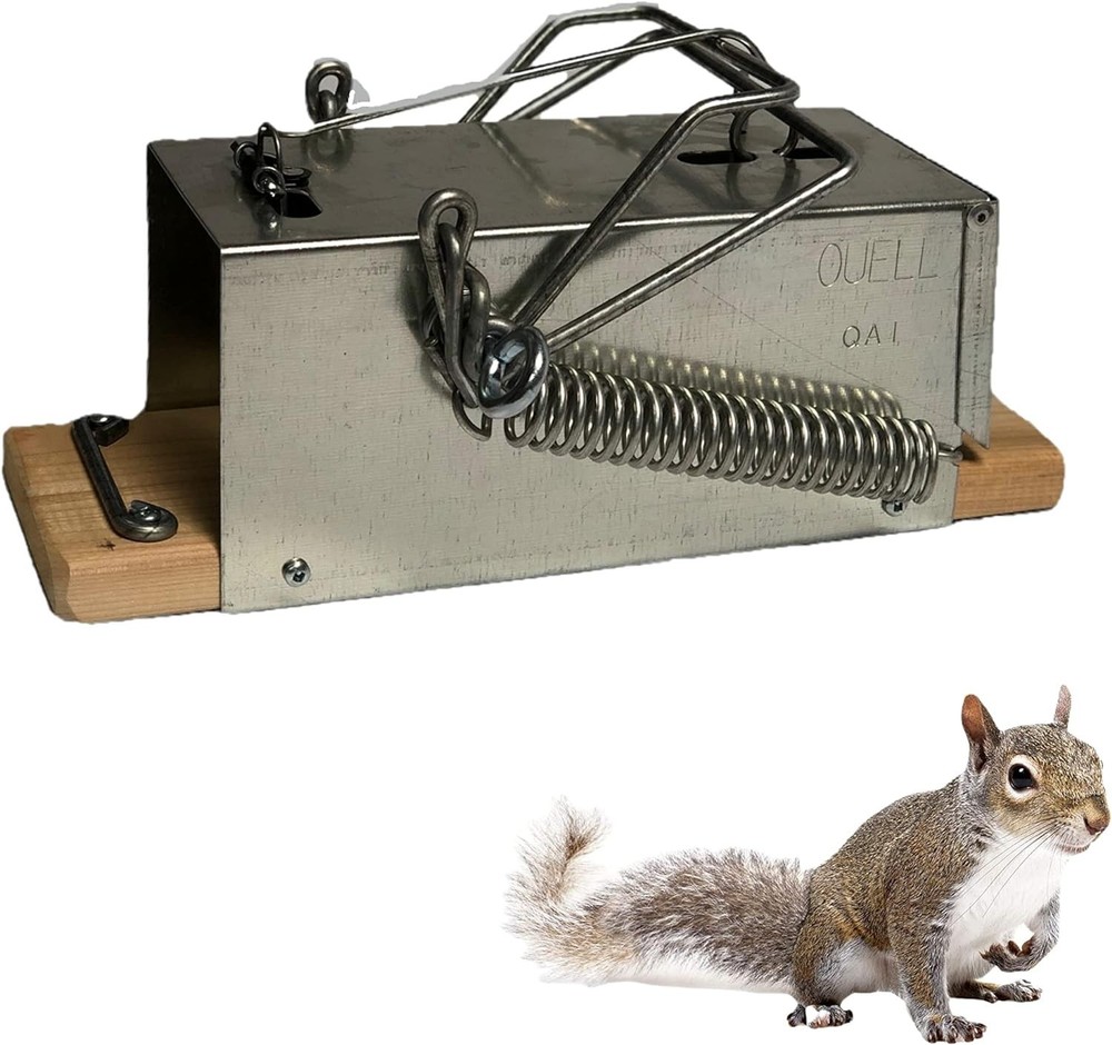 High-Quality Squirrel Trap - Efficient Extermination=