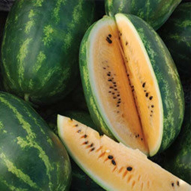 Tendersweet Orange Watermelon Seeds, Very Sweet, NON-GMO, Heirloom, FREE SHIP