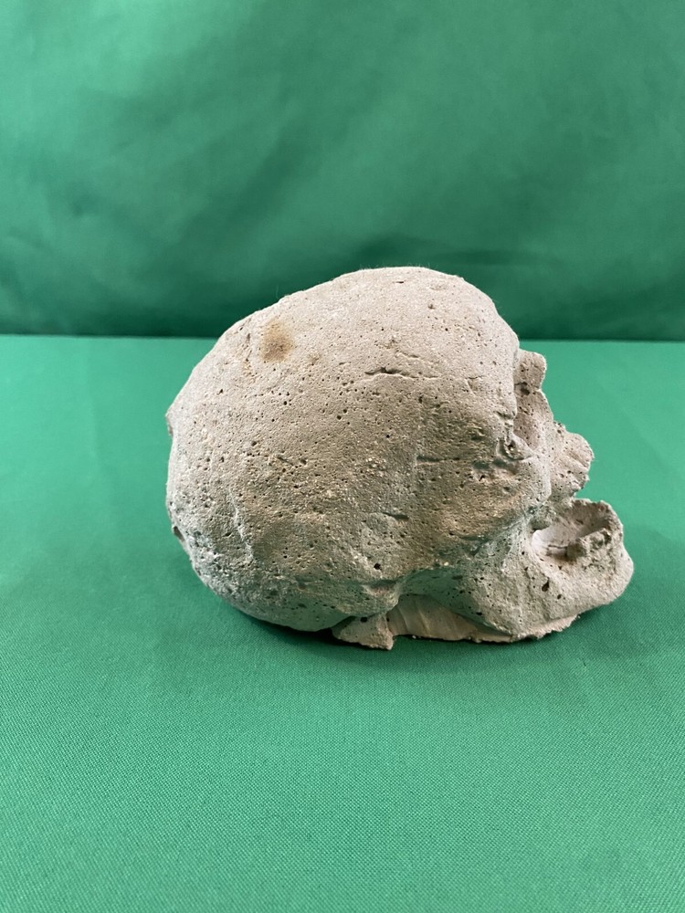Hand Cast Fireproof Cement Fire Pit Skull Log for Bonfire Campfire Fireplace