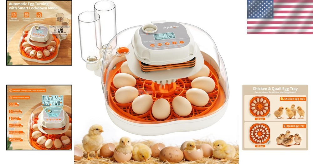 Elegant Egg Incubator with Automatic Turning & Temperature Control for 12 Eggs