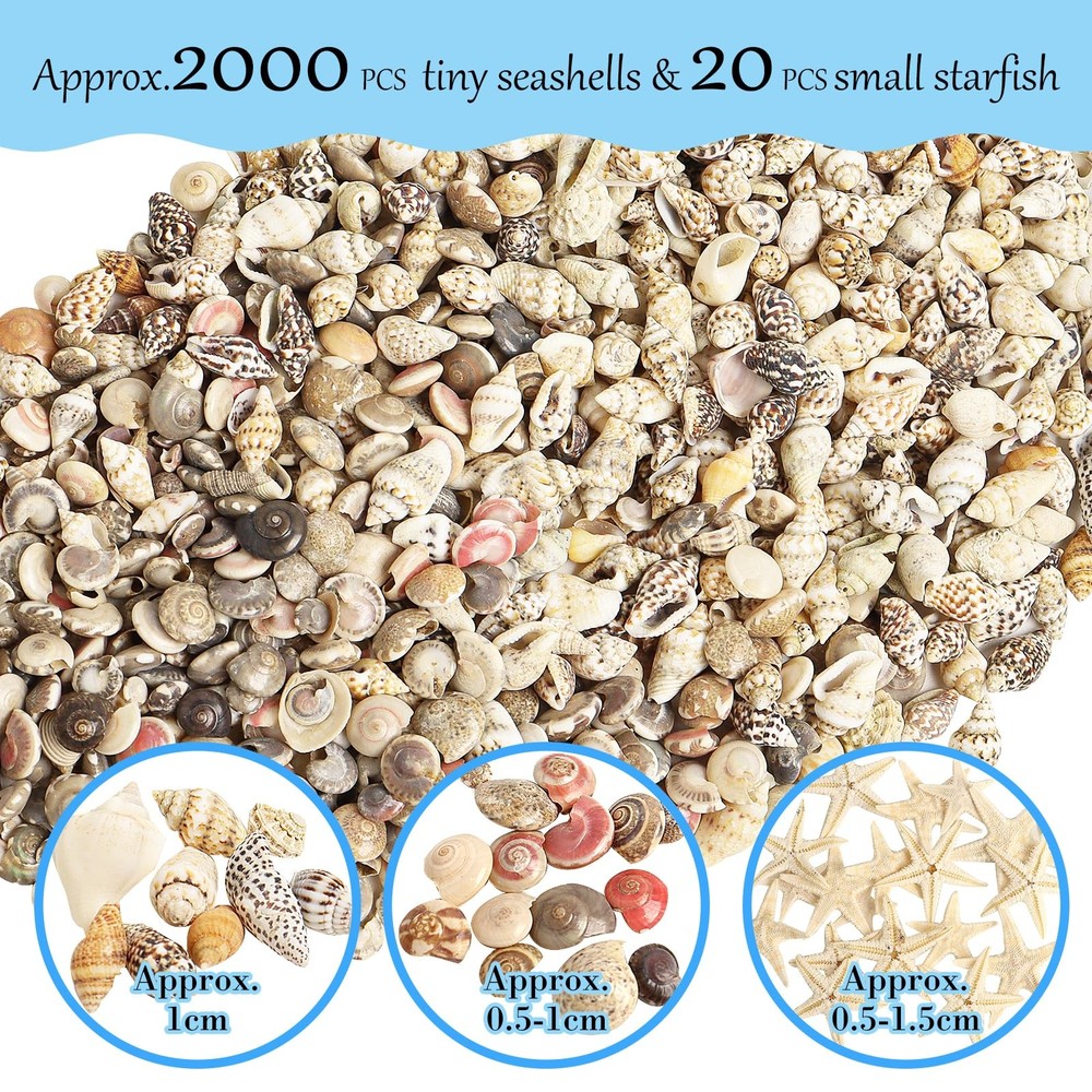 2000 PCS Tiny Sea Shells Mini Shells for Crafting & 20 Small Starfish for Fis...