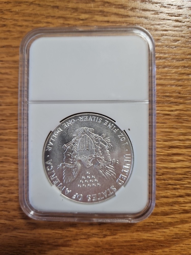 2013 SILV*ER AMERICAN EAGLES 1 OZ BULLION COIN