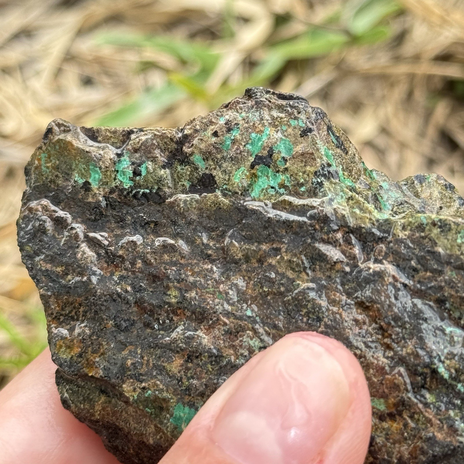 9oz Chalcopyrite w/ Green Chrysocolla Copper Ore Rough Rock Specimen Texas