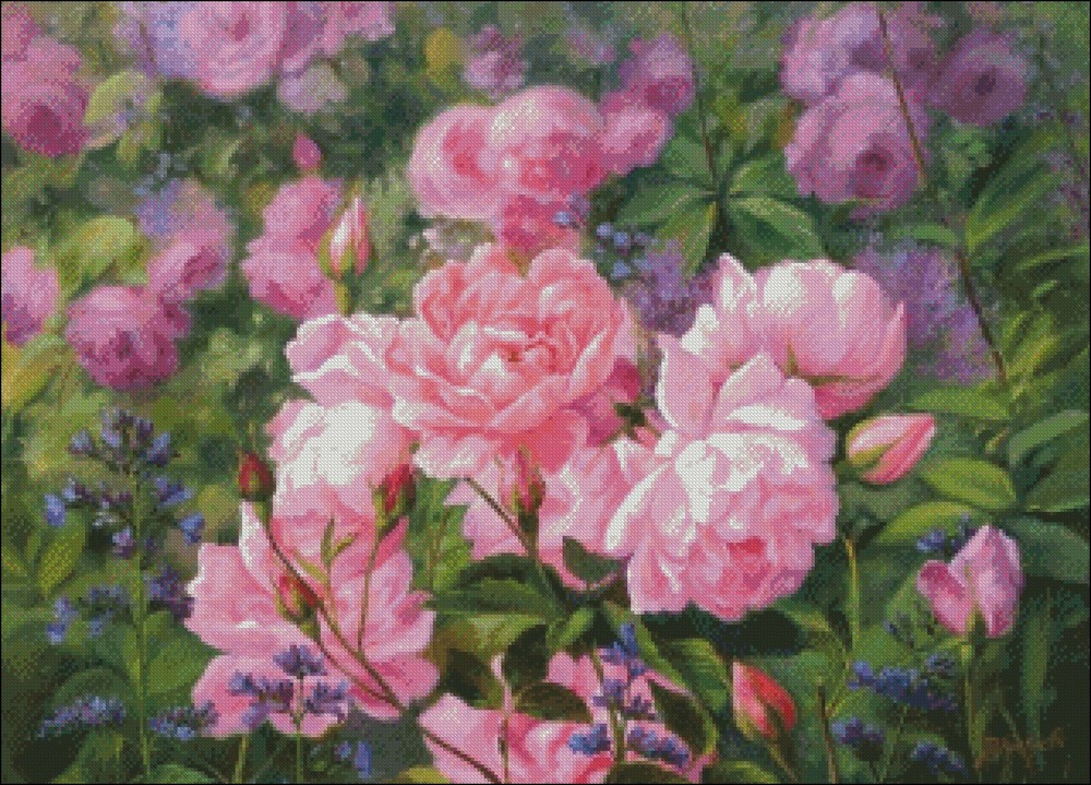 Beautiful Pink Roses - Chart Counted Cross Stitch Patterns Needlework DIY DMC