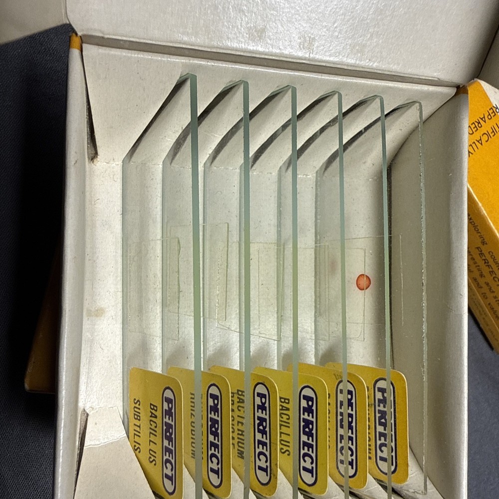 Antique microscope slides - 24 Perfect Prepared Microscope Slides Insects Etc