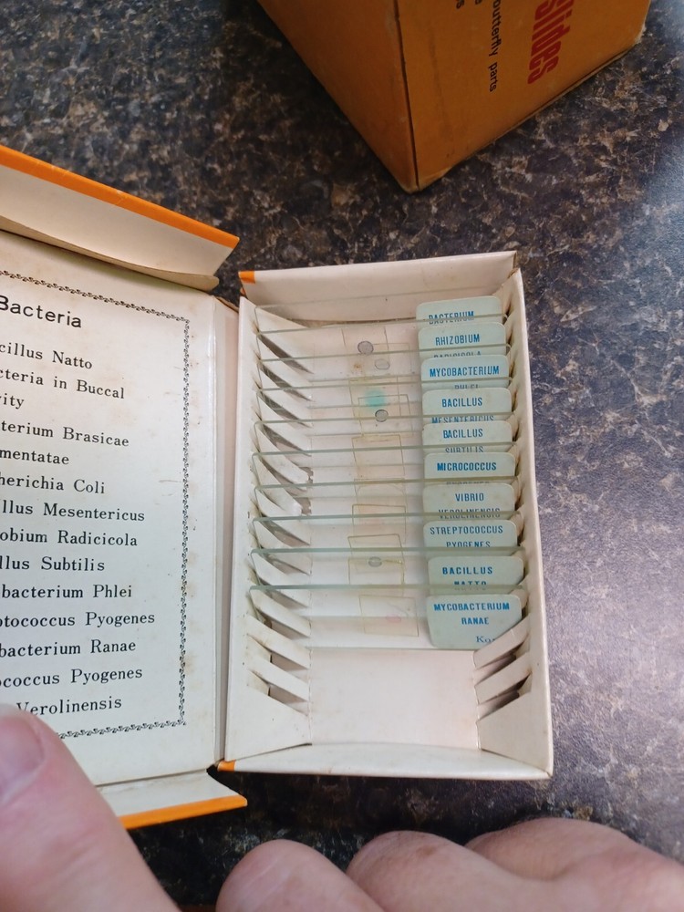 Vintage Sears Prepared And Labeled Microscope Slides