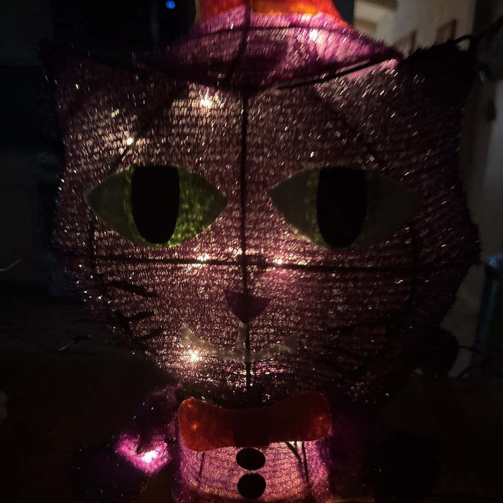 Halloween Cat 2014 Spooky Village