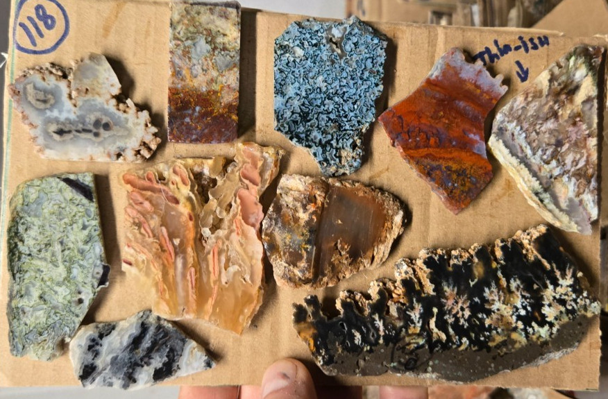 Assorted Plume & Moss Agates, Trimmed Cabochon Slabs Preforms  10 Pcs, Flat 118