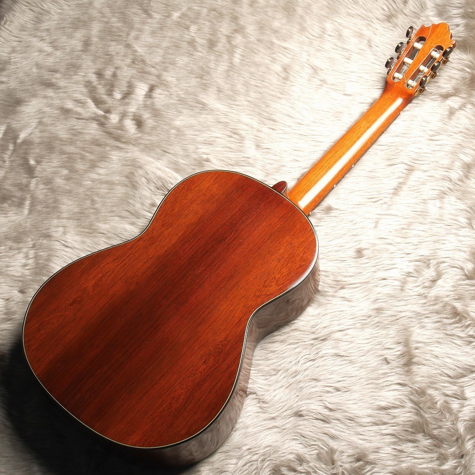 VICENTE CARRILLO Maestro NX