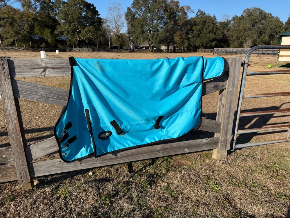 horse blanket
