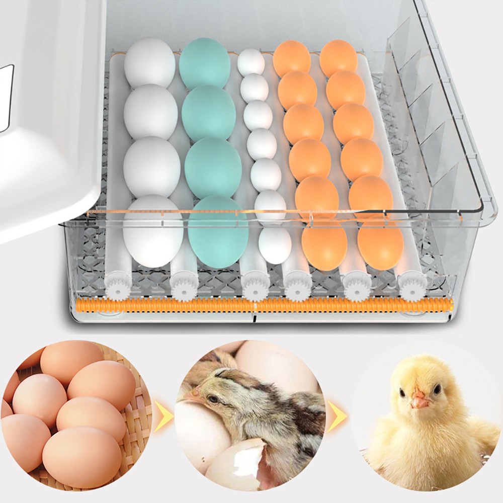 64 Digital Eggs Incubator Egg Hatcher With Temperature Control Automatic Turner~