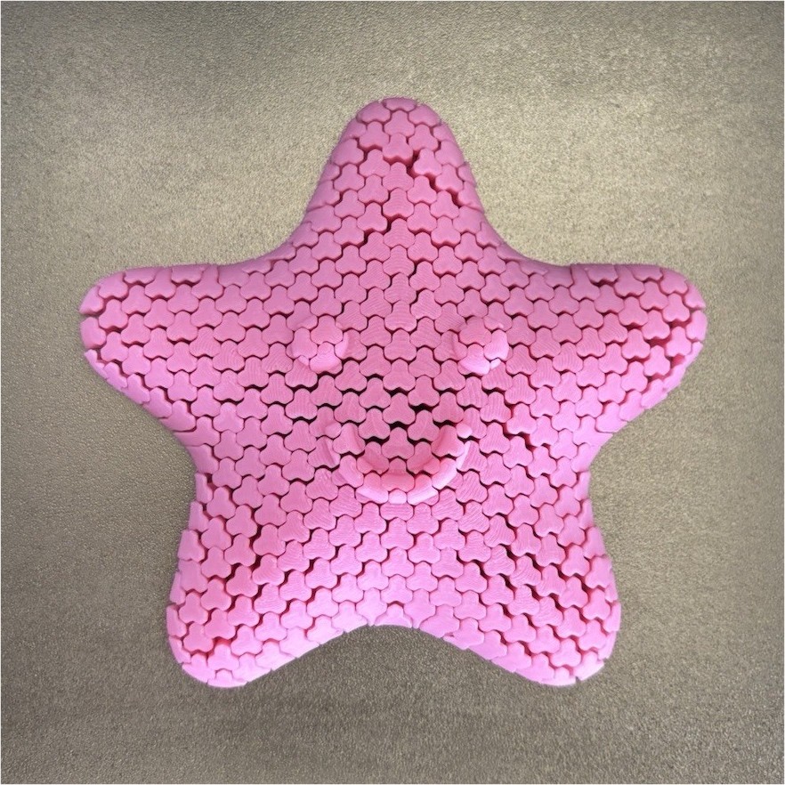 3D Printed Flexi Starfish