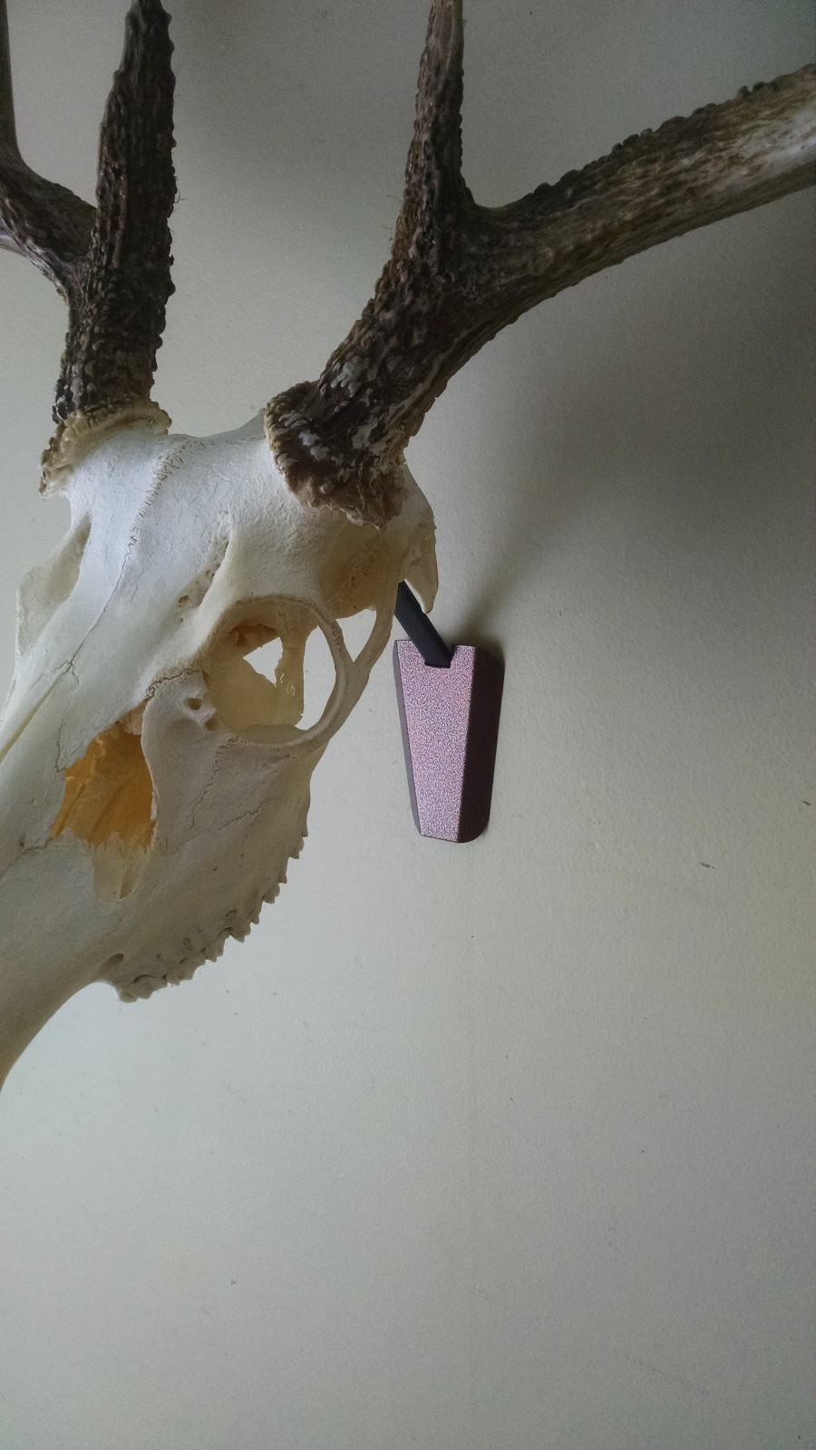 European Skull Mount Bracket with magnetic sheet metal cover plate Skull Hook