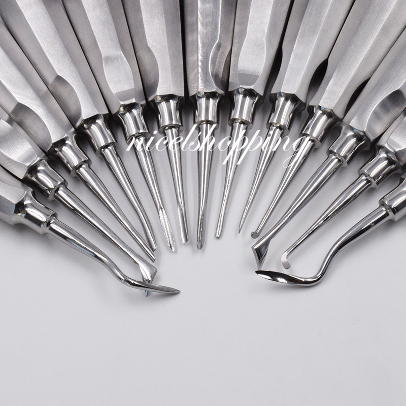 New Dental Autoclavabl Extraction Elevators Luxating Luxation Apical Root 13Pcs
