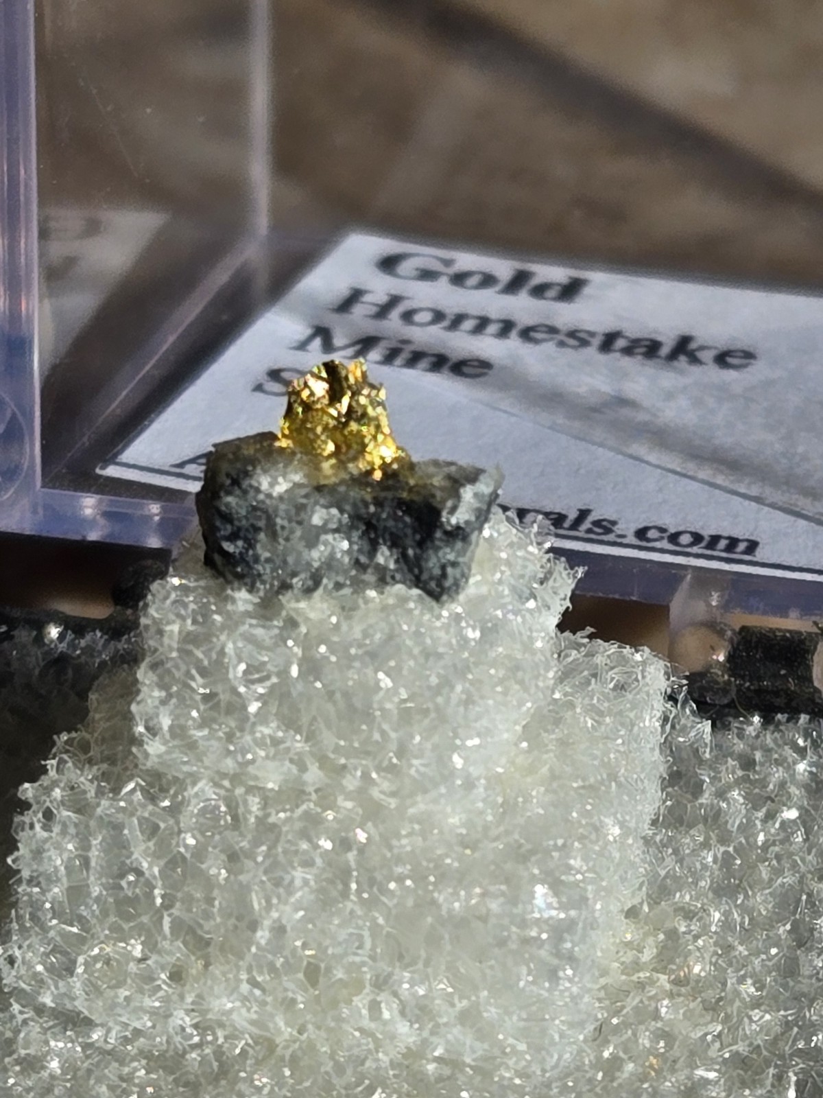 Beautiful Gold Thumbnail specimen