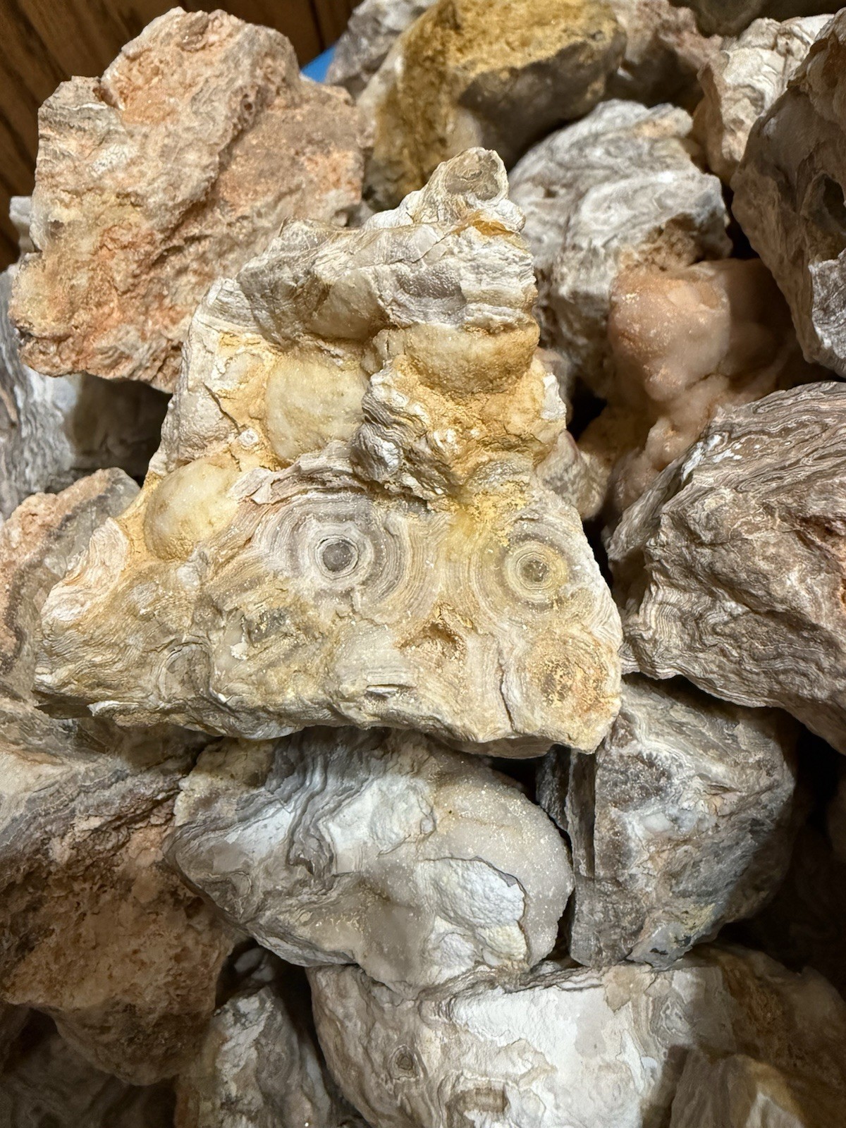 Crazy Lace Agate, Rough Lace Agate From Summerville Ga 10lbs Lot