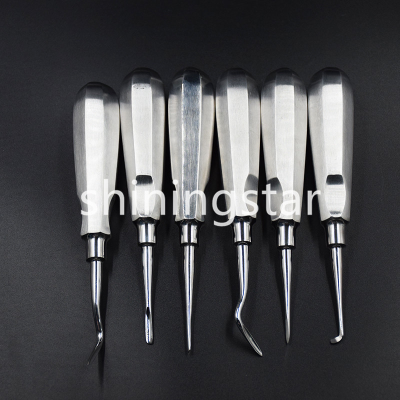13 Pcs/set Dental Extraction Elevators Luxating Luxation Apical Root Autoclavabl