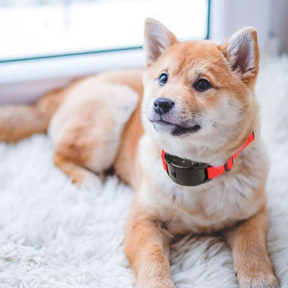 Automatic Anti Bark Barking Shock Control Collar Device Small Medium Large Dog