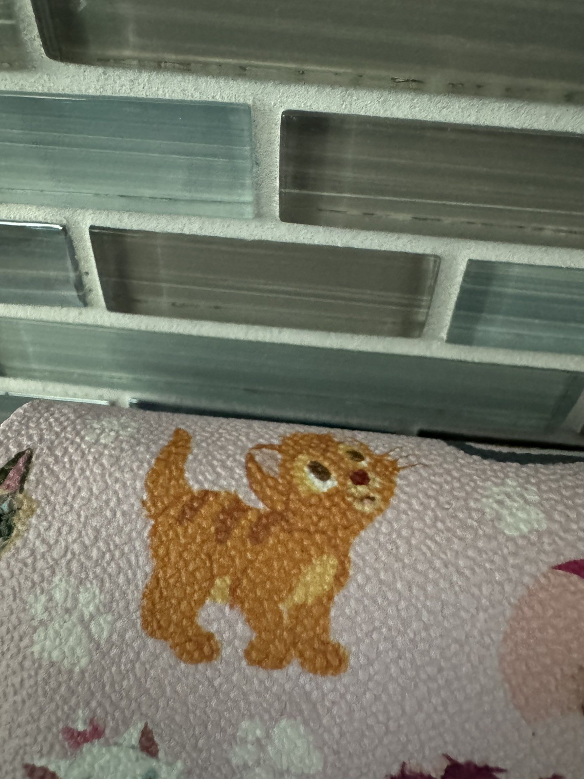 Dooney & Bourke Disney Cats Foldover Crossbody Bag 2019 NWT Beautiful Brand New