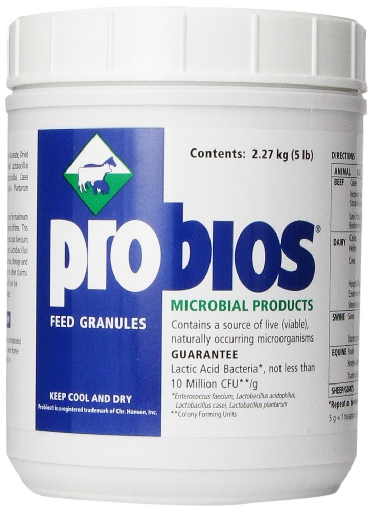 VETS PLUS Feed Granule for Horses, 5-Pound