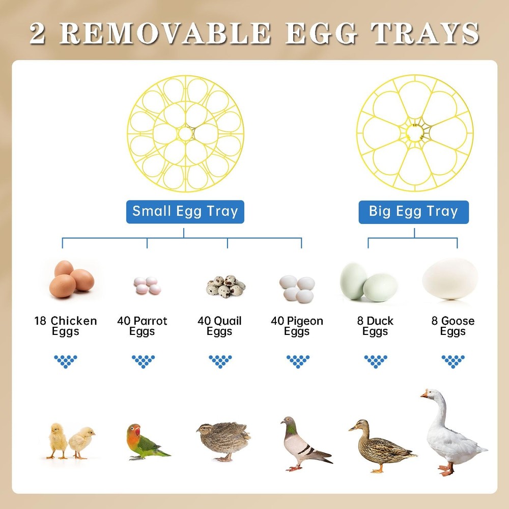 Forotone Incubators for Hatching Eggs, 18-Egg Incubator with Automatic Egg...