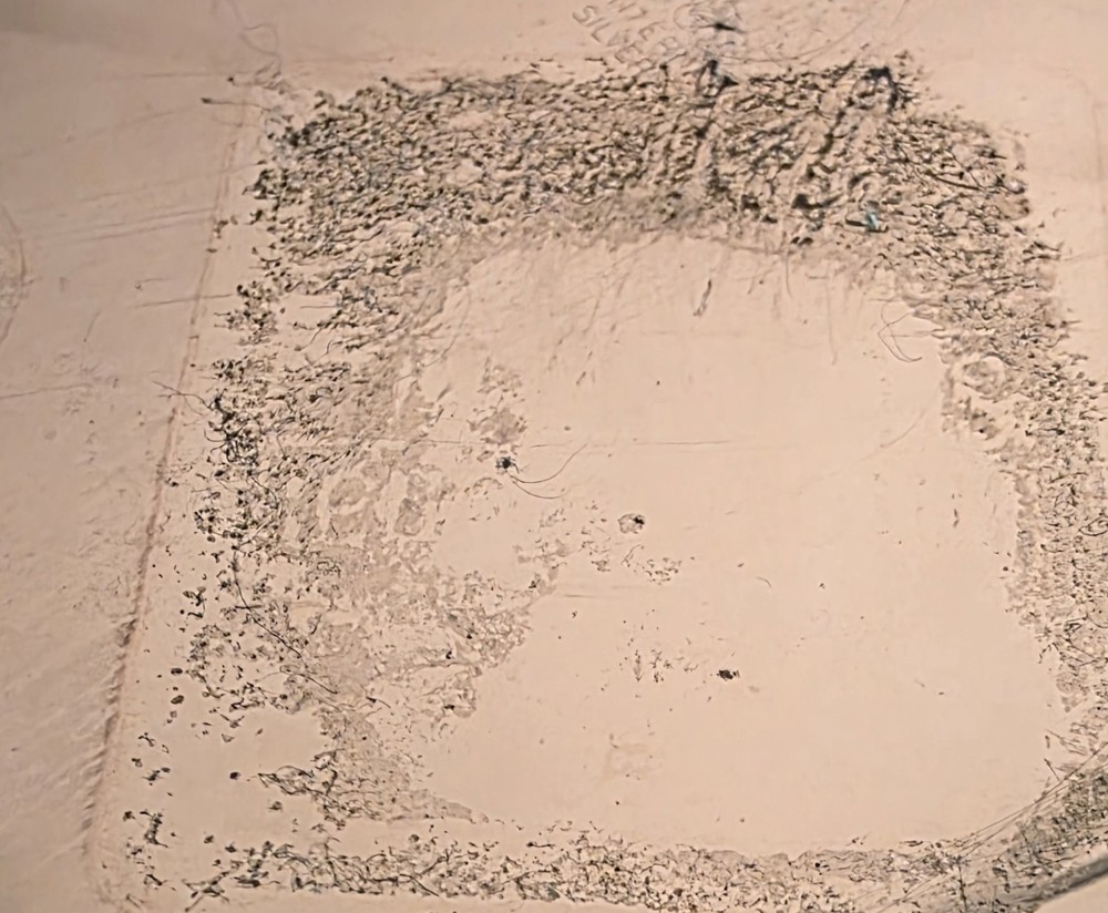 Two Silver Plater Trays