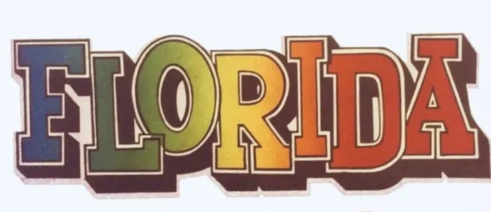 Original Vintage 1970’s Florida Iron On Transfer
