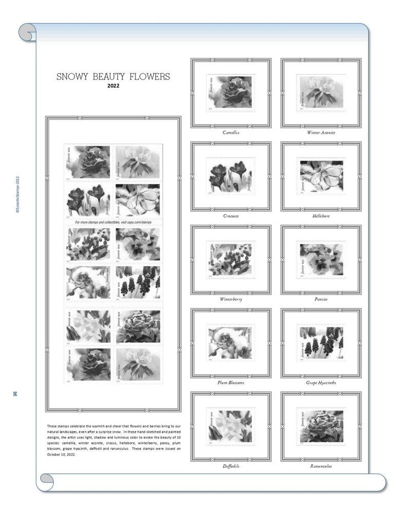 2022 U.S. Regular Issue Singles COMPLETE Supplement (White Ace Alternative)