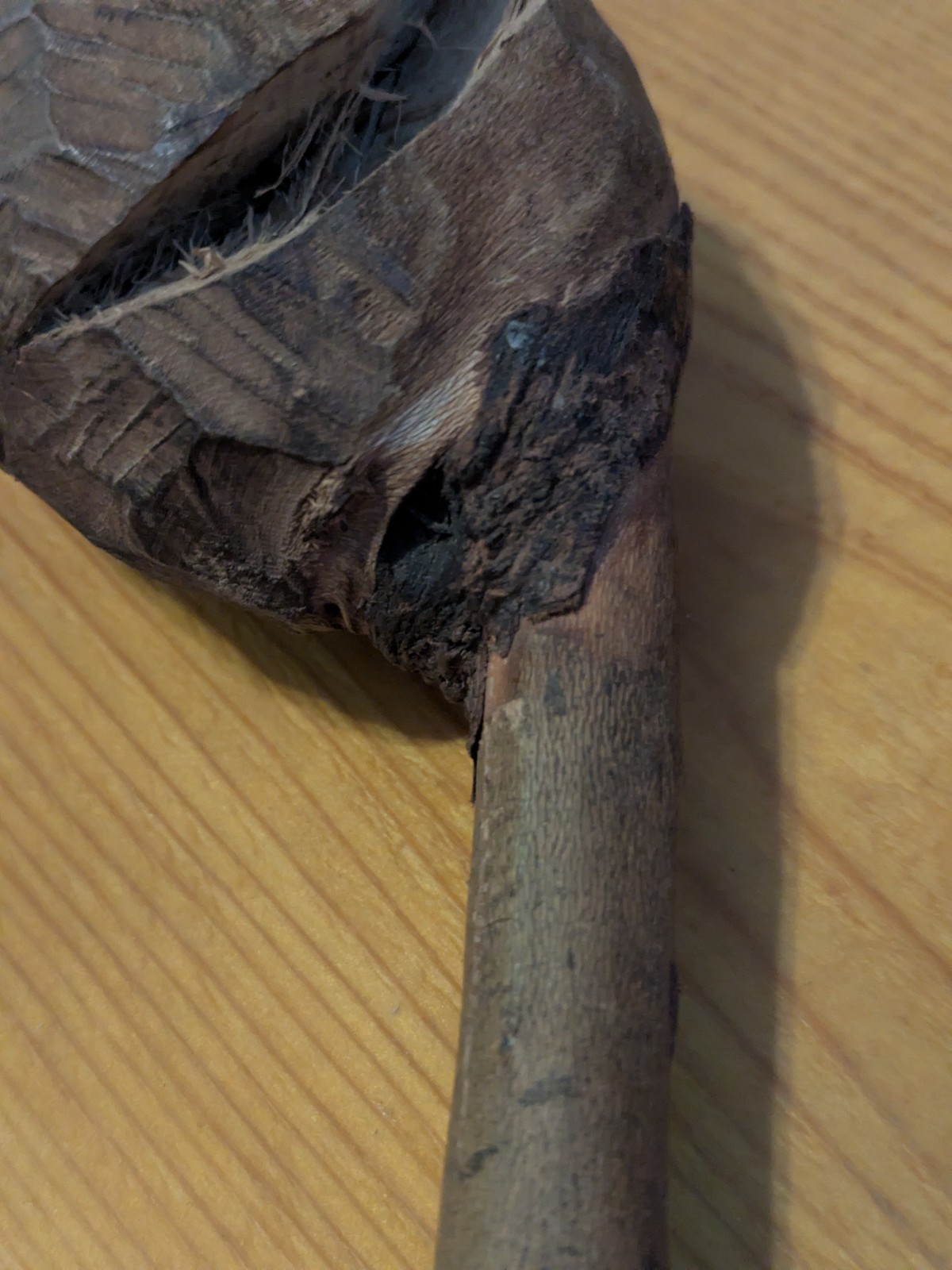 Native American 🔥 Eastern Woodland 🔥War Clubs 💥 Ball Root Burl 🤩 18th 19th C