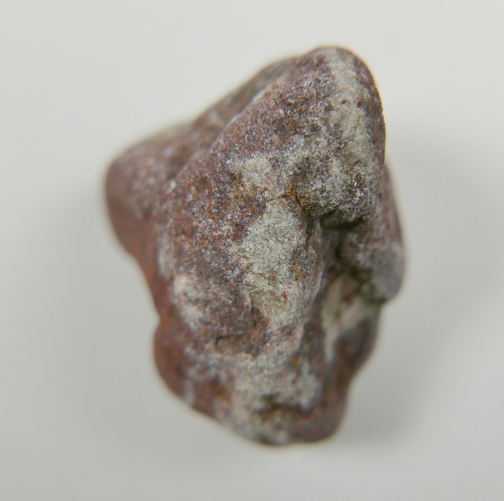 Fossil Dinosaur Bone with Description Mesozoic Era New