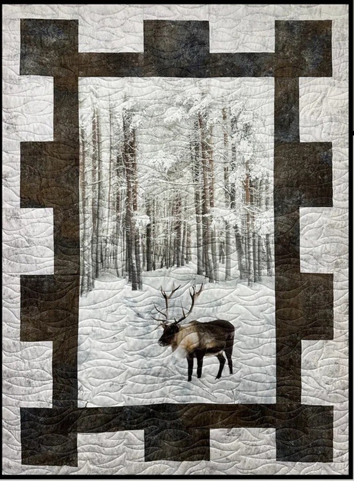 Jerky Quilt Pattern-Using a Panel