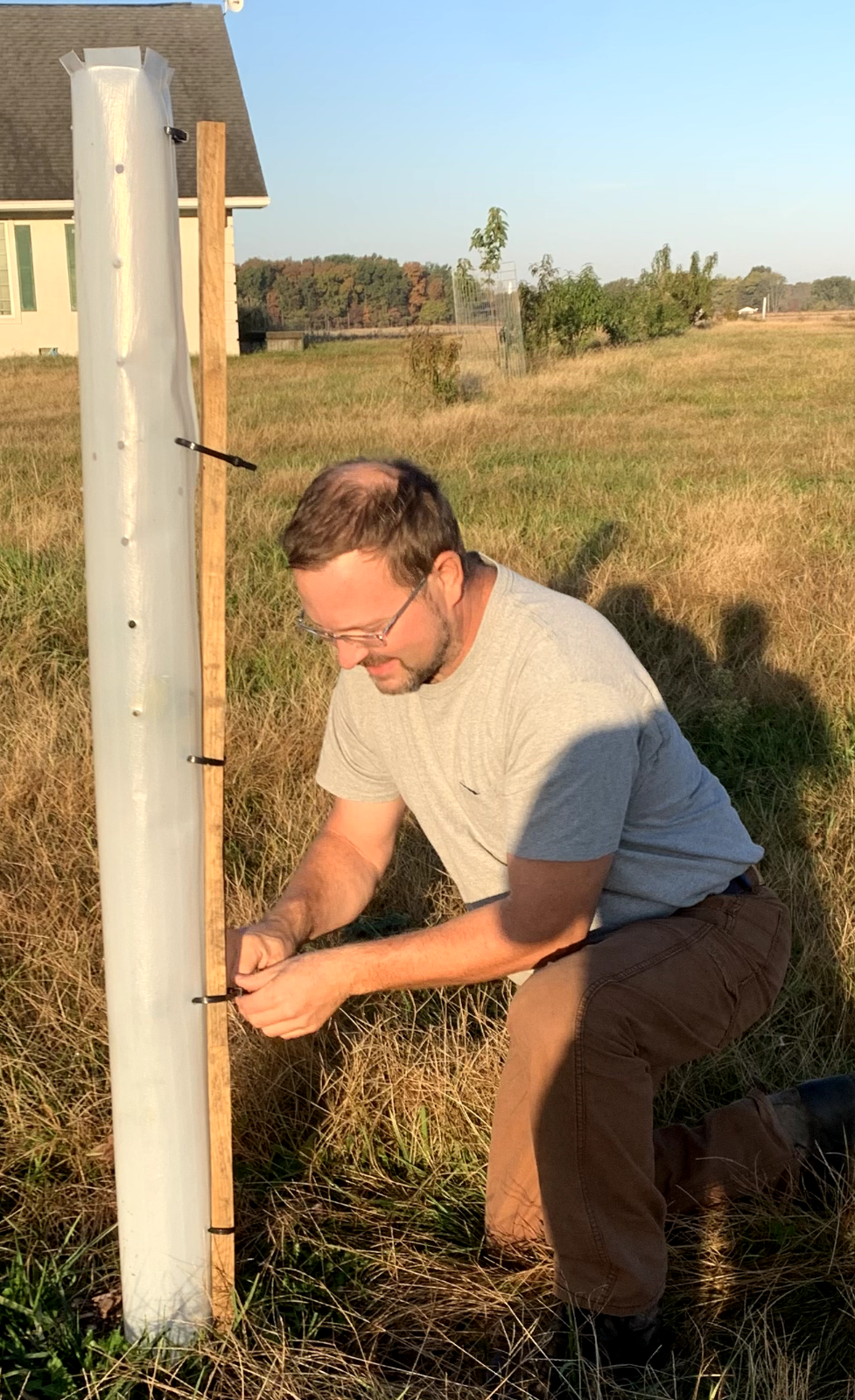 5 USA Made 12"-72" TREE PRO GROWTH SHELTER WILDLIFE GUARD TUBE PROTECTORS-Split