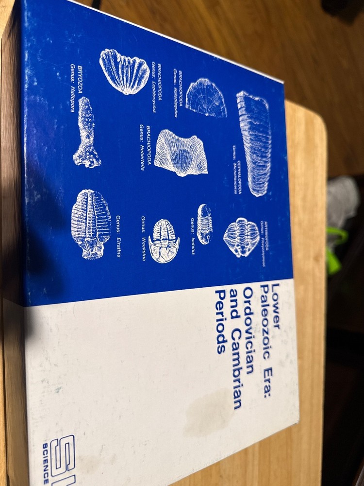 fossil kit lower Paleozoic Era