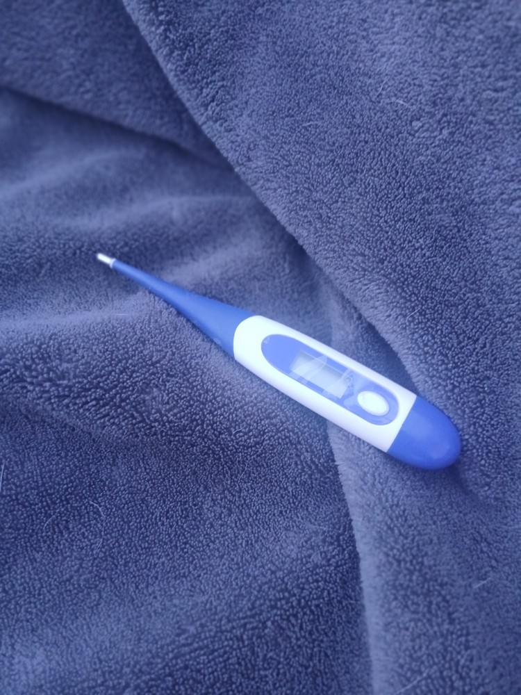 Digital Kroger Thermometer Low Battery Temperature