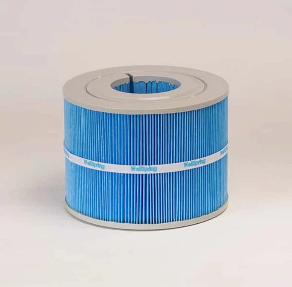 Bullfrog Spas WellSpring 282 Filter-2 Pack