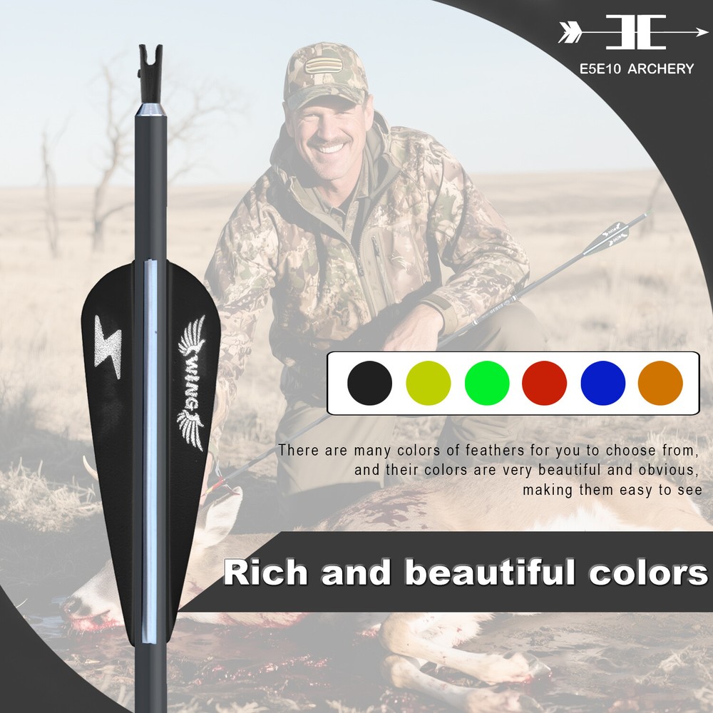 12PACK 31inch Carbon Arrow Targeting Practice Hunting Arrows with Removable Tips