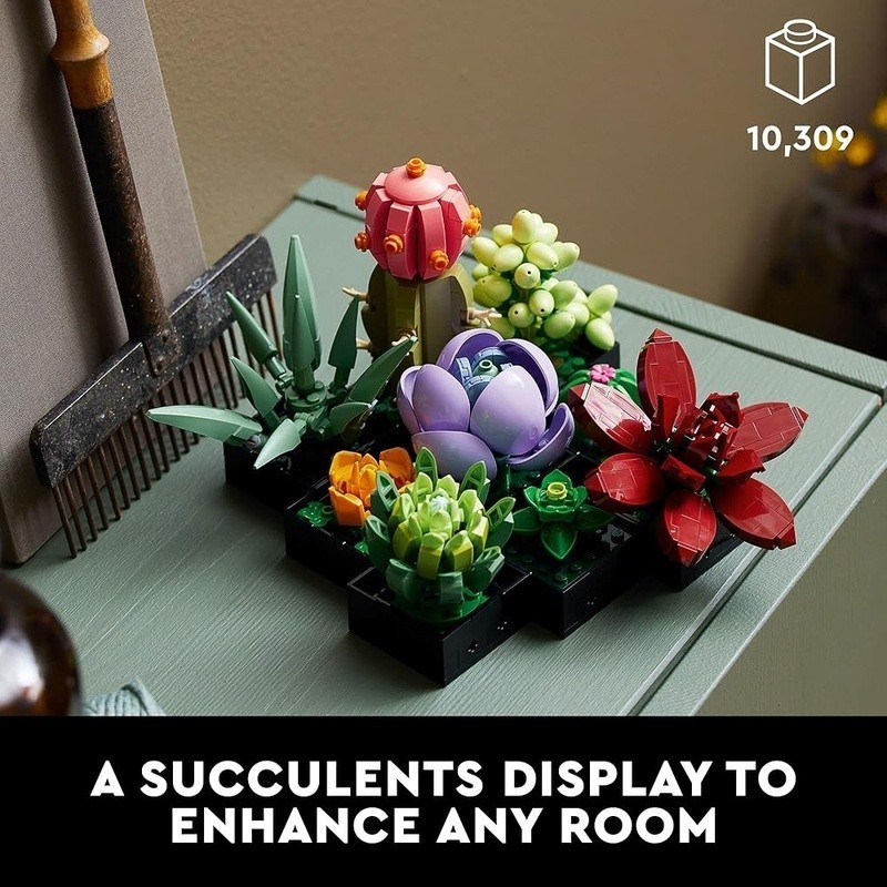 Artificial Succulent Plants Set Home Office Décor Customizable Display Gift Idea