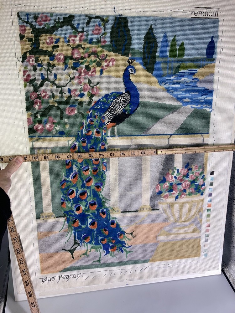 Needlework Peacock Scene Stunning And Large Complete Yarn