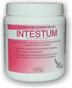 Intestum by Medpet