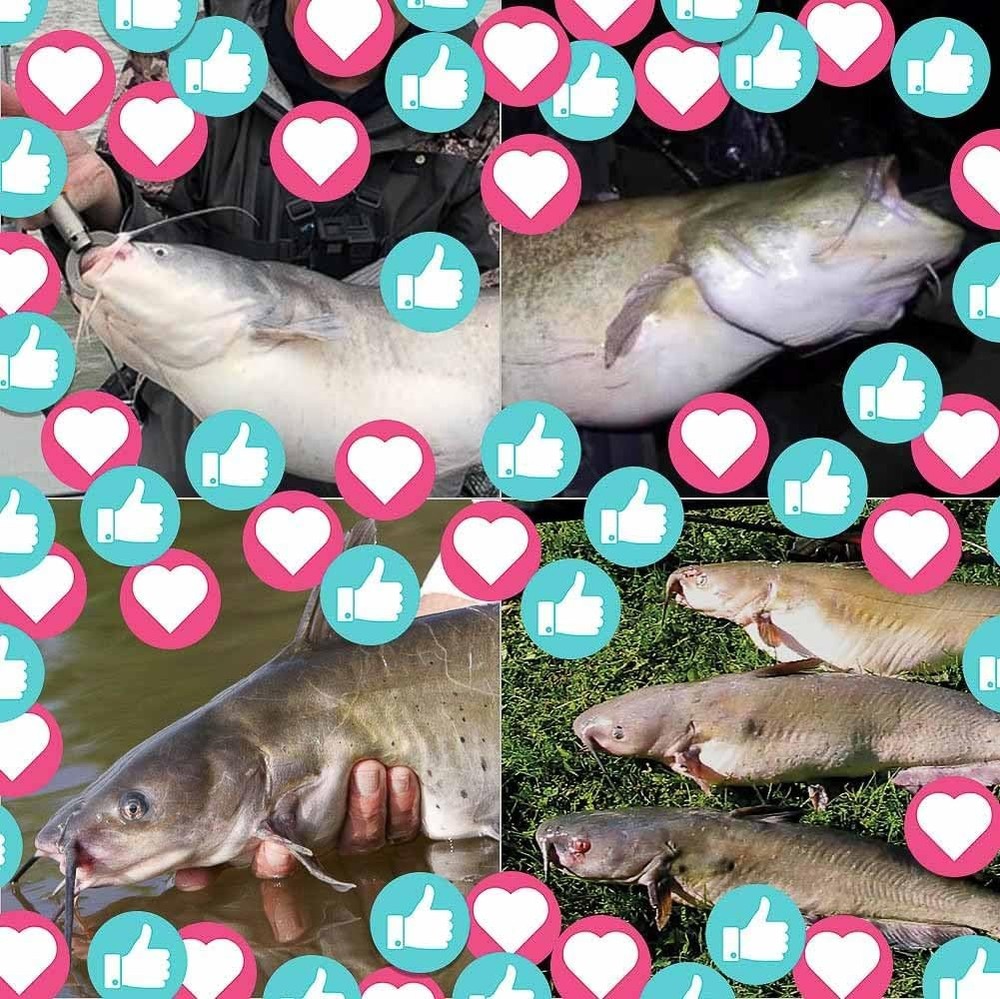 2.5 inch, Green-4 Pack