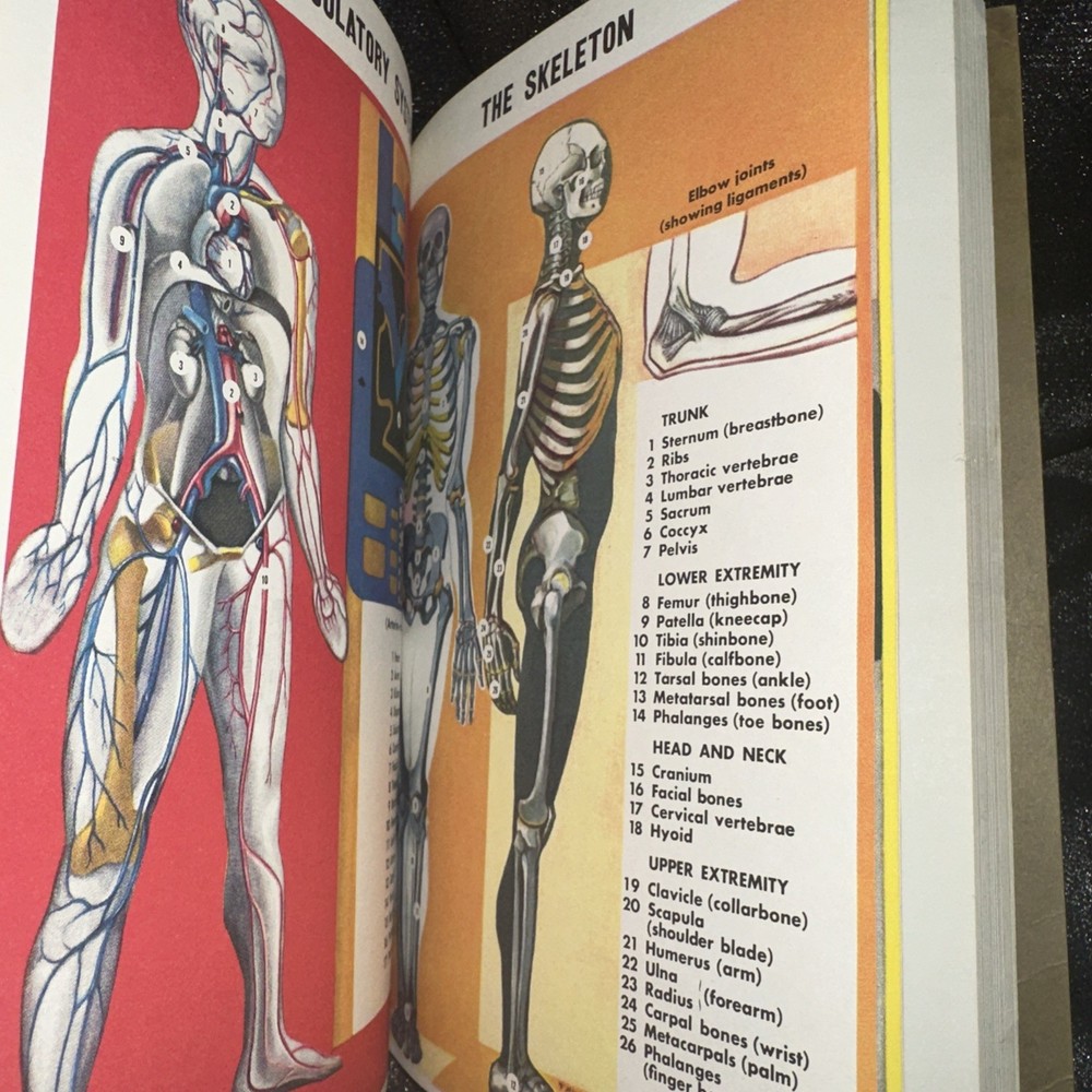 First Aid Red Cross Manual 1972