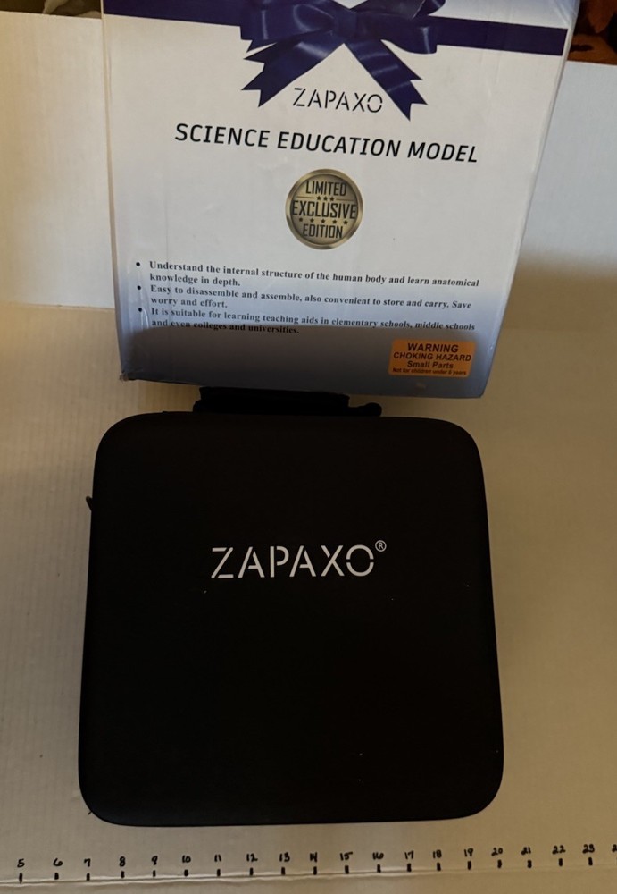 Human Anatomy Science Education Model Set